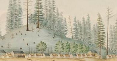 Family history reports for Norfolk Island 1788 – 1814